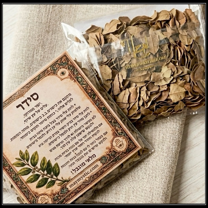 צרור עלי סידר מיובשים בצבע חום עם דף מידע מעוטר