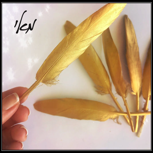 נוצה צבע זהב - Gold feather