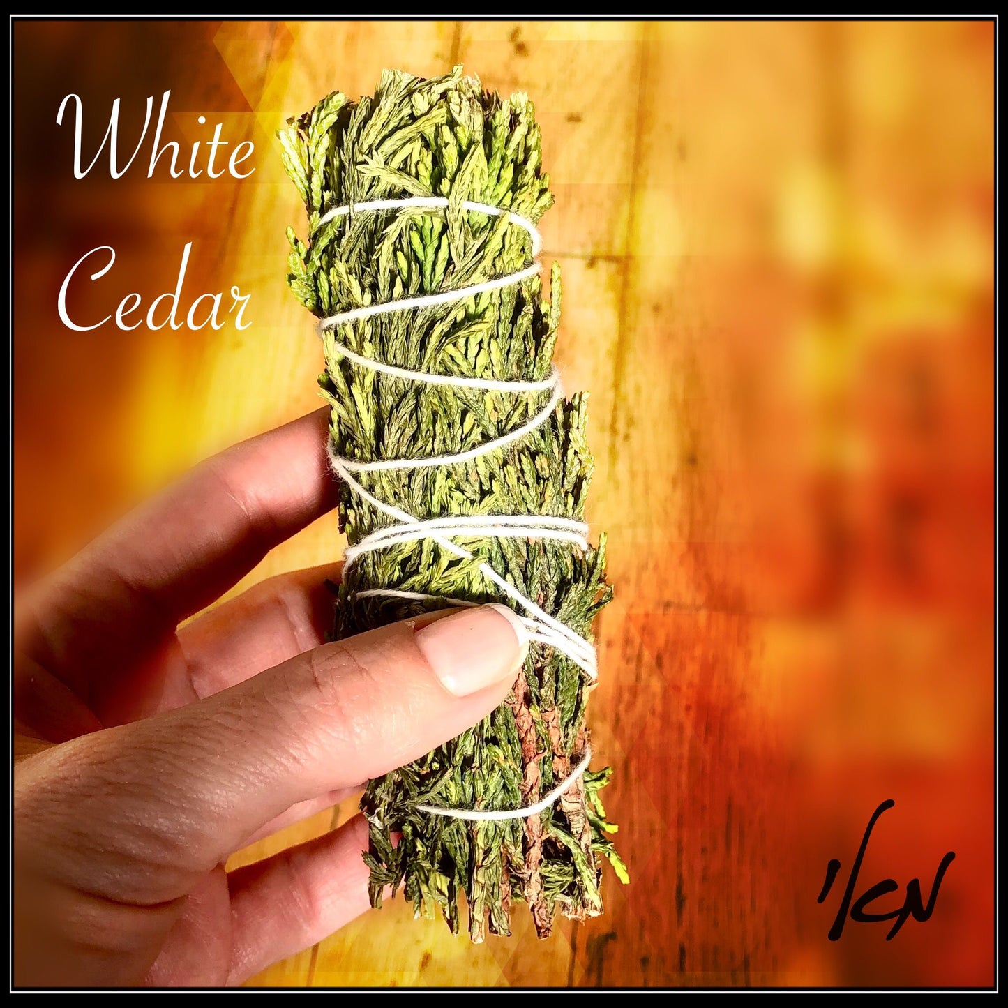 קטורת סידר לבן - ארז לבן - Sacred White Cedar smudge