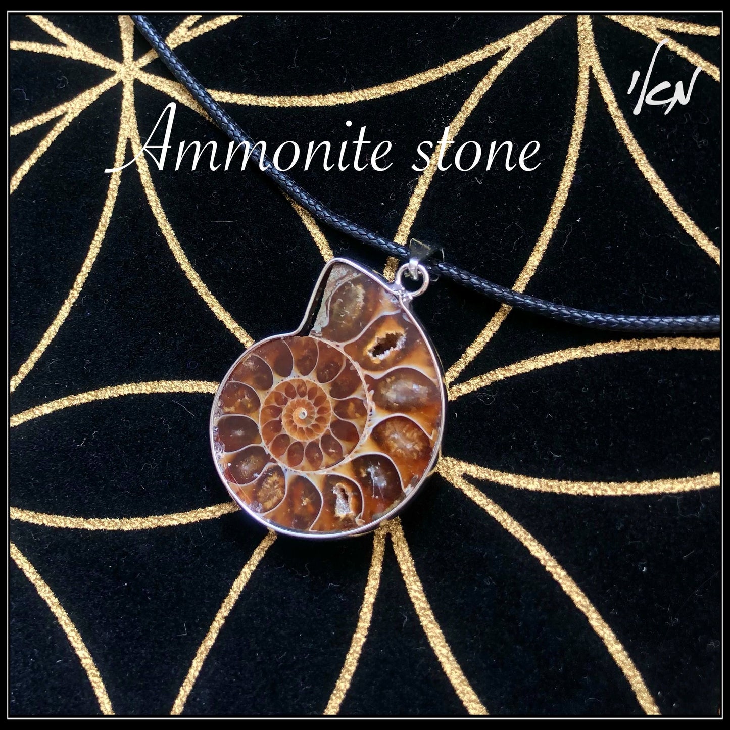 שרשרת אמונייט - 925 silver Ammonite Stone Necklace